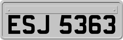 ESJ5363