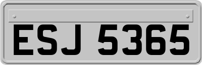 ESJ5365