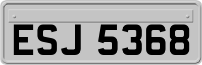 ESJ5368