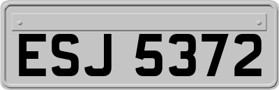 ESJ5372