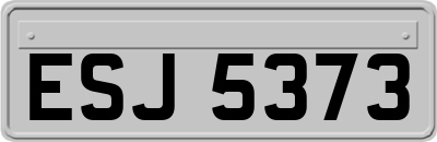 ESJ5373