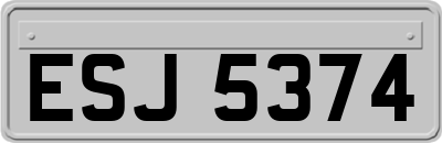 ESJ5374