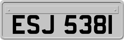 ESJ5381
