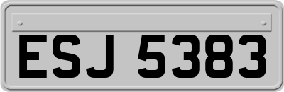 ESJ5383
