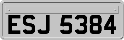 ESJ5384
