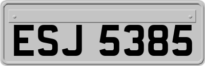 ESJ5385