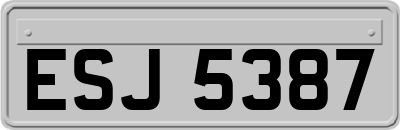 ESJ5387