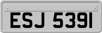 ESJ5391