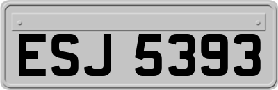 ESJ5393