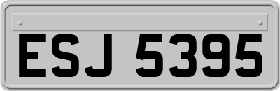 ESJ5395