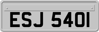 ESJ5401