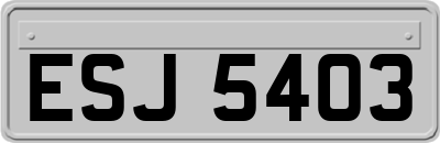 ESJ5403