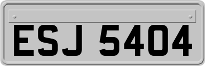 ESJ5404