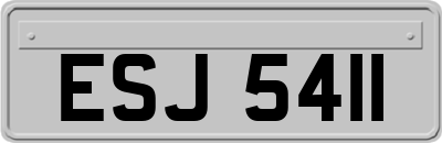 ESJ5411