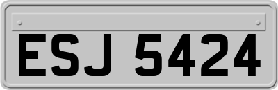 ESJ5424