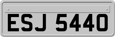 ESJ5440