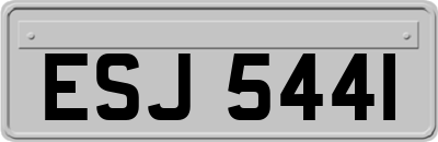 ESJ5441
