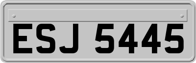 ESJ5445