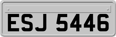 ESJ5446