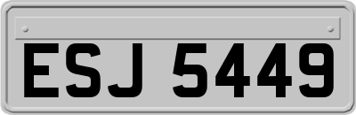 ESJ5449