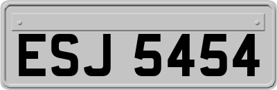 ESJ5454