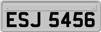 ESJ5456