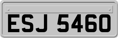 ESJ5460