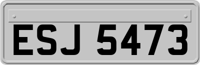 ESJ5473