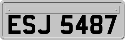 ESJ5487