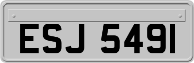 ESJ5491