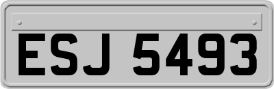 ESJ5493