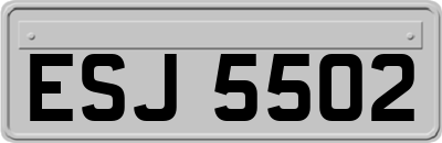 ESJ5502