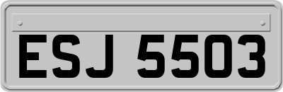 ESJ5503