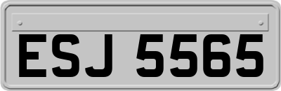 ESJ5565