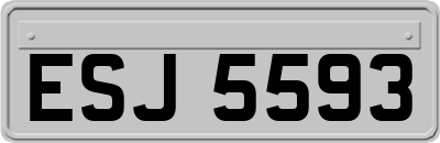 ESJ5593