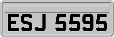ESJ5595