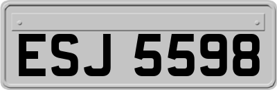 ESJ5598