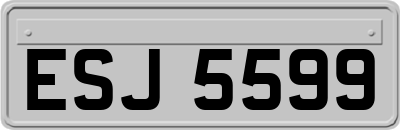 ESJ5599