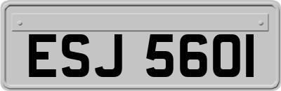 ESJ5601