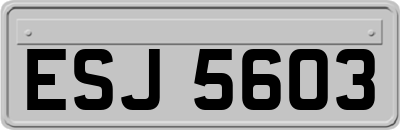 ESJ5603