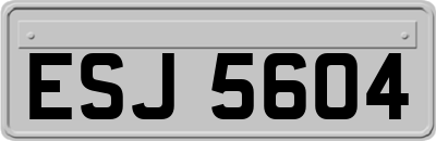ESJ5604