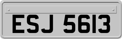 ESJ5613