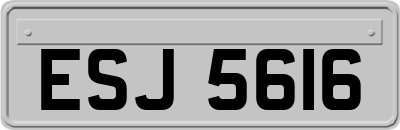 ESJ5616