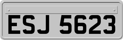 ESJ5623