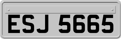 ESJ5665