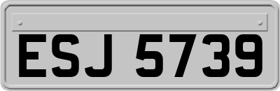 ESJ5739