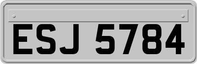 ESJ5784