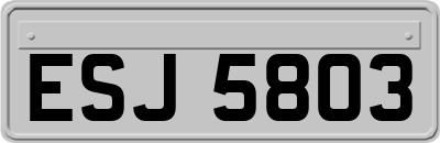 ESJ5803
