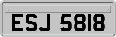 ESJ5818