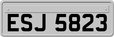 ESJ5823